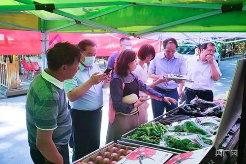 農業(yè)農村部調研組赴高新區(qū)新市區(qū)調研農產品質量安全工作