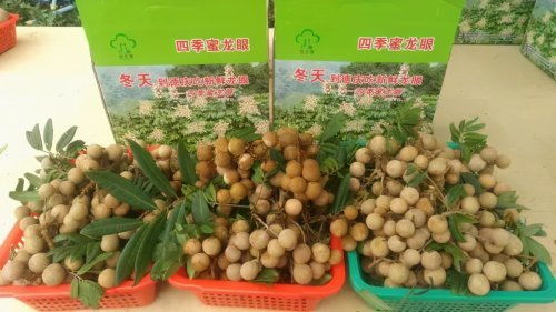 肇慶被確定為國家農產品質量安全市創建單位，躍居全省第三